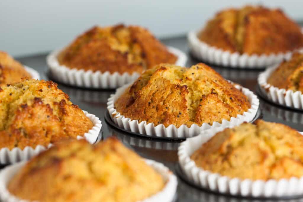 5 Super Healthy Muffin Recipes