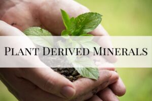 Plant Derived Minerals