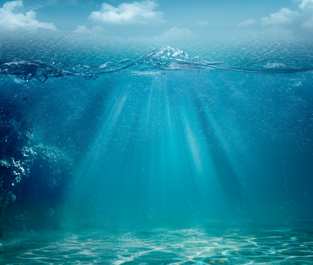 Krill Oil vs Fish Oil