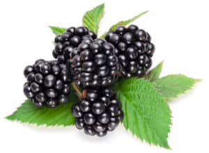 low fruit sugar
